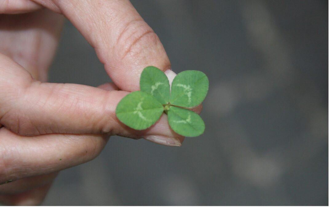 Helping Your Agents Get Lucky
