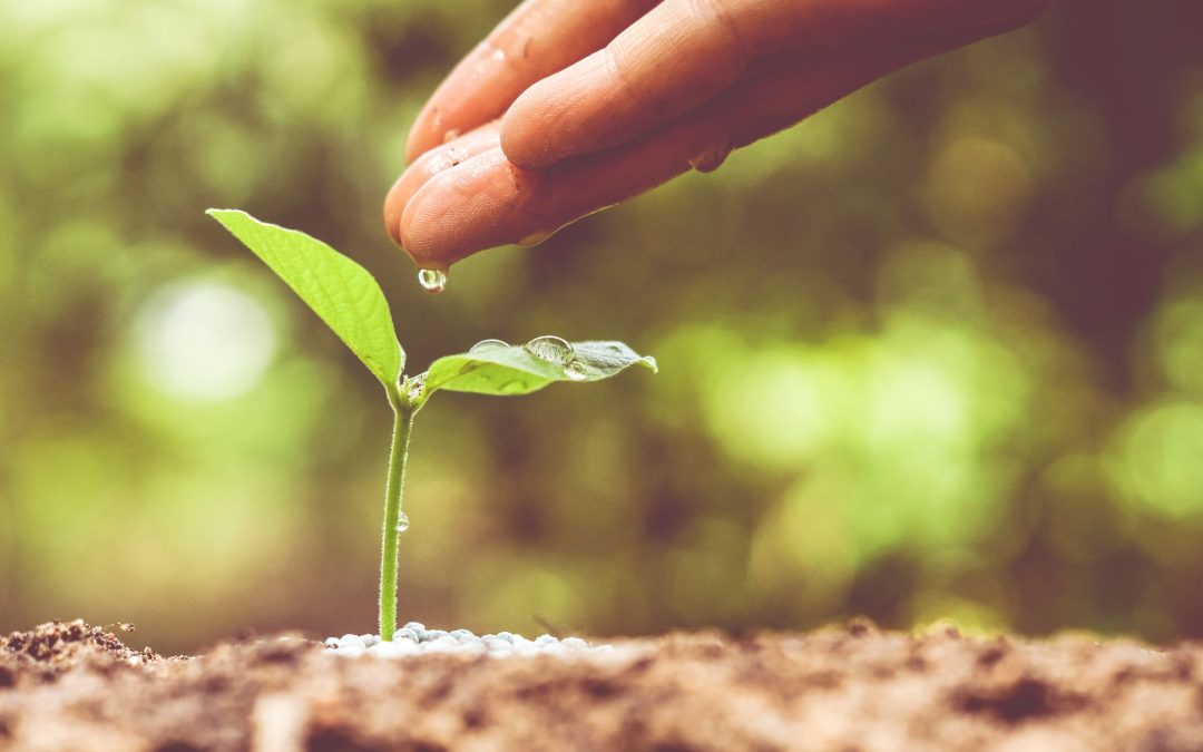 The Simple Process for Nurturing Your Recruiting Prospects