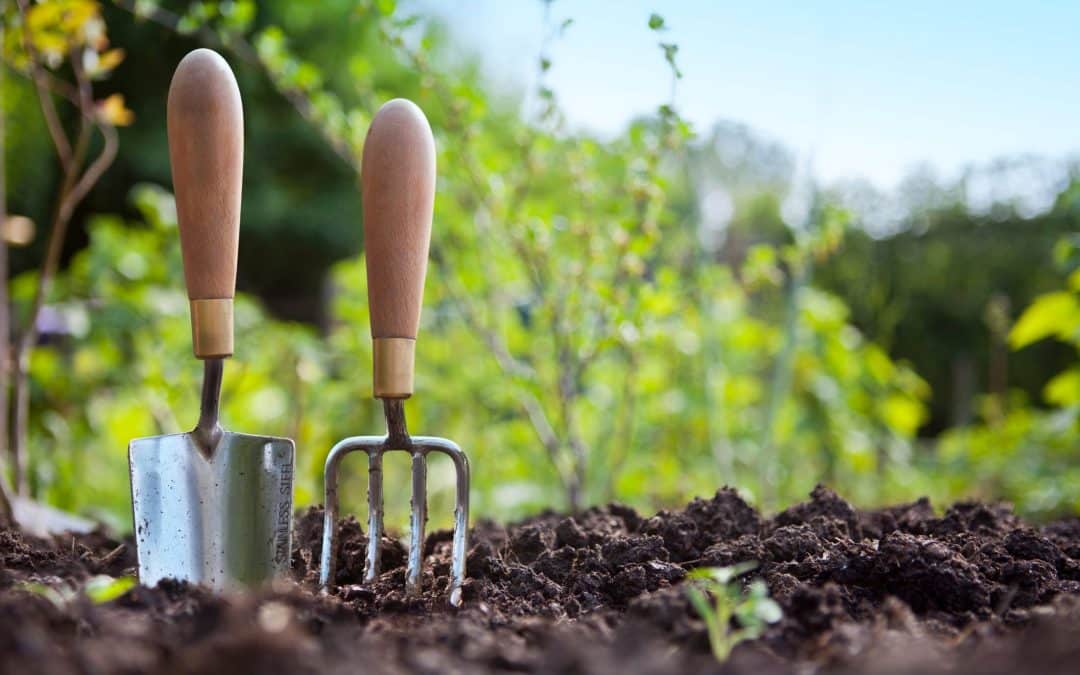 How Leaders Create High-Performance Cultures