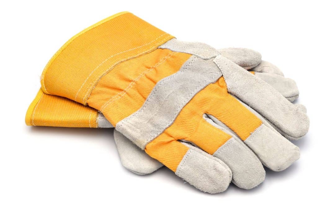 Avoiding the Race to the Bottom